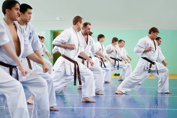 Karate-Meister erteilt seinen Schülern Lektion — Stockfoto