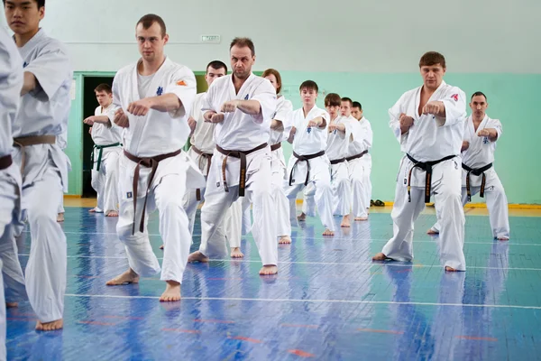 Master karate geeft een les aan zijn leerlingen — Stockfoto