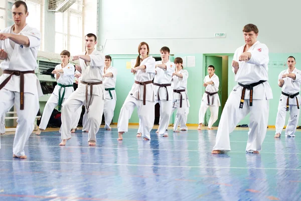 Master karate geeft een les aan zijn leerlingen — Stockfoto