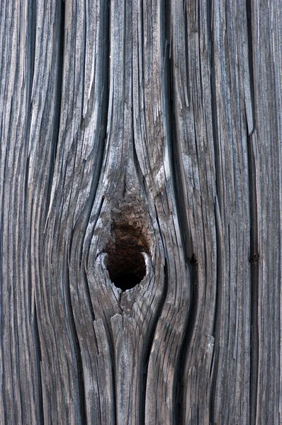 Eski odun. — Stok fotoğraf