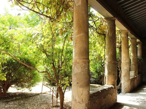 Κήπος στην Πομπηία — Φωτογραφία Αρχείου