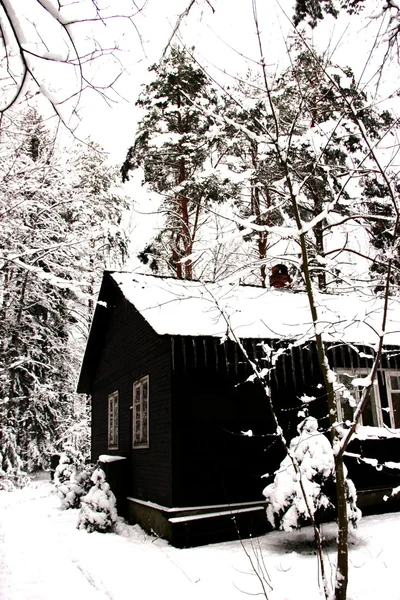 Zimní dům s rampouchy v lese — Stock fotografie