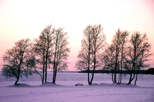 Χειμερινό τοπίο με έναν υπαινιγμό της Λεβάντα — Φωτογραφία Αρχείου