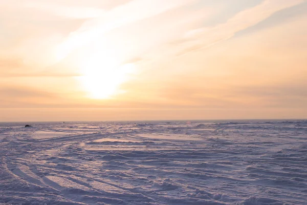 Гарні зимовий захід сонця — стокове фото