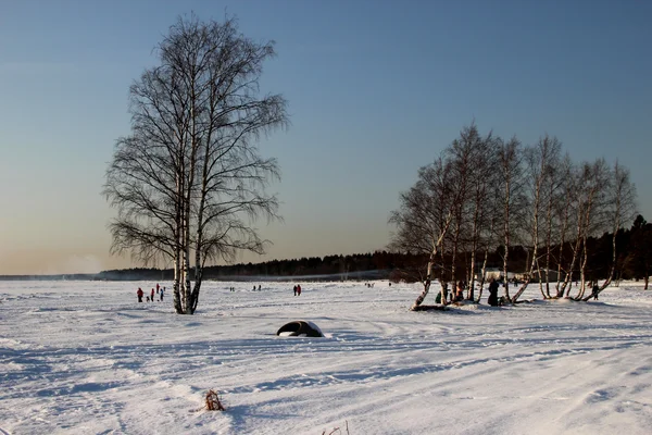 Paisaje de invierno con árboles — Foto de Stock