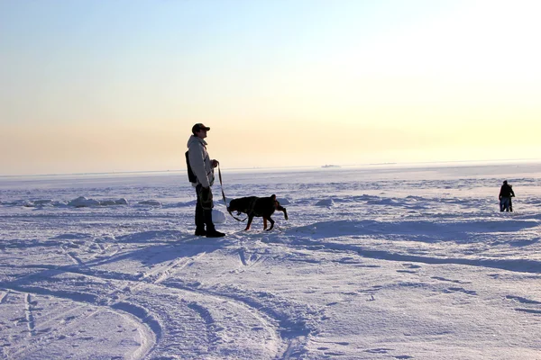 Männer mit Rottweiler. Winter — Stockfoto