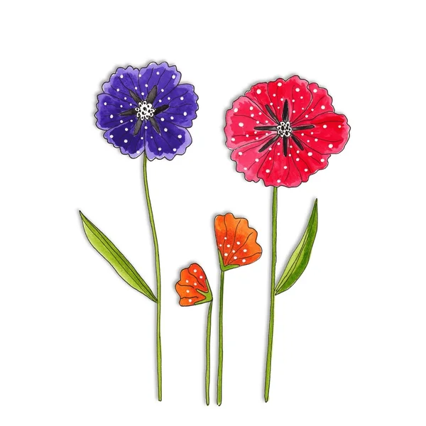 Çiçekler. dekoratif öğeler — Stok fotoğraf