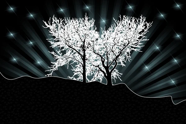 Beyaz ağaçlarının silhouettes