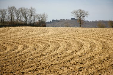 Ploughed field clipart