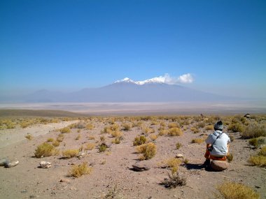 Gazing into the distance, altiplano, uyuni, bolivia, south america clipart