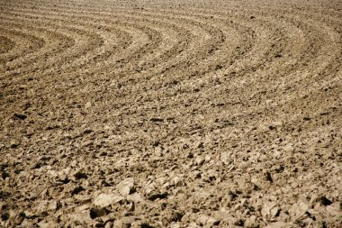 Ploughed field clipart