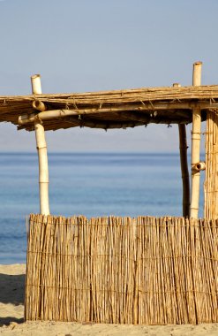 Reed hut on beach, red sea, sinai, egypt clipart