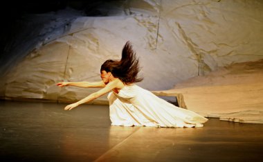 Pina bausch performans