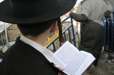 Young Lag Ba'omer pilgrim with payot reading the Torah during the fest clipart