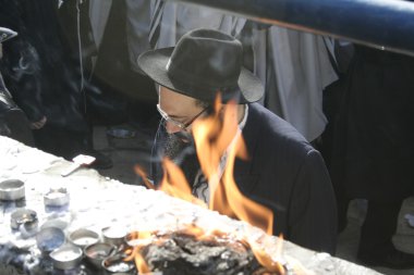Lag Baomer pilgrim with beard and payot during the festivities. clipart
