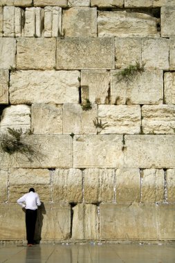 Man praying next to the wailing wall, jerusalem,israel clipart