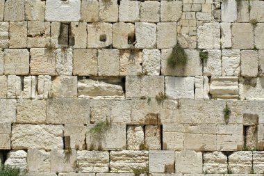 Cut out of the wailing western wall, jerusalem, israel clipart