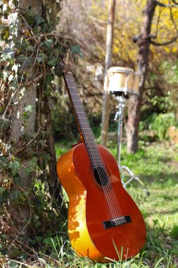 Guitar in nature clipart