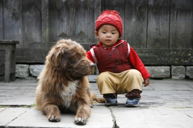Bebek ve köpek