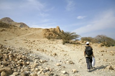 Man walking in desert landscape in the dead sea region clipart