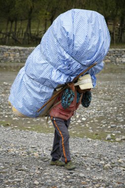 hamallar üstünde onların arka, annapurna, nepal ağır yük taşıma