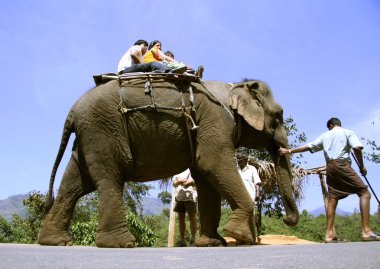 Indian tourist family taking a ride on elephant clipart