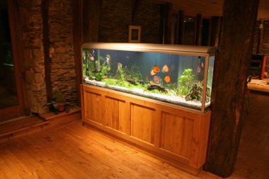 Fish tank during the night clipart