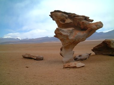 Arbol de piedra, uyuni tur, Bolivya