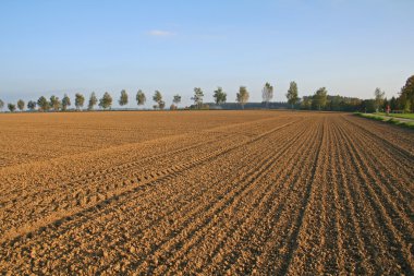 Ploughed field in autumn clipart