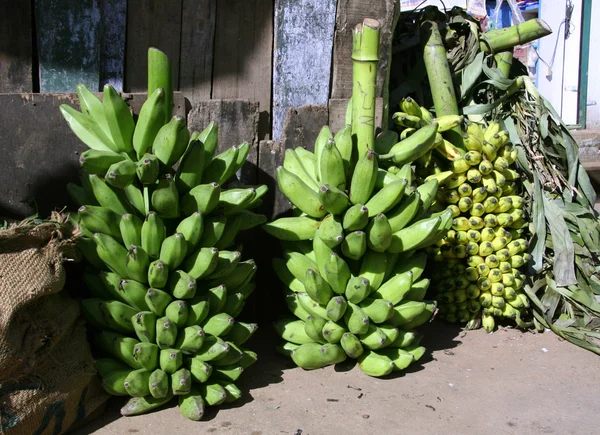 Зеленые и желтые бананы на рынке — стоковое фото