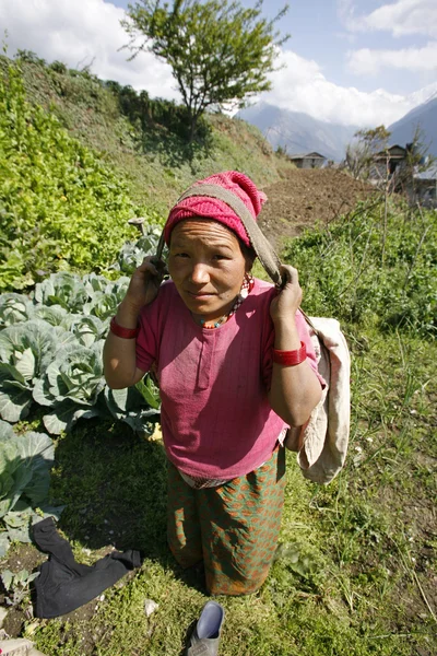 Arbetande nepali kvinna — Stockfoto