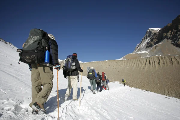 Bergbeklimmers trekking naar bovenkant van thorong-la, annapurna, nepal — Stockfoto