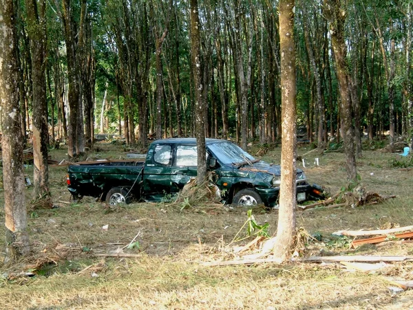 stock image Car wrapped around tree after tsunami, khao lak, thailand