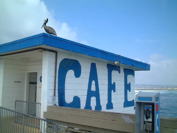 Pelican sitting on café roof, san diego, united states of america — Stock Photo, Image