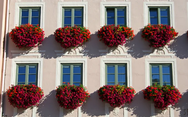 Закрыть цветочный фасад — стоковое фото