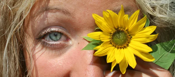 Słonecznik oko — Zdjęcie stockowe