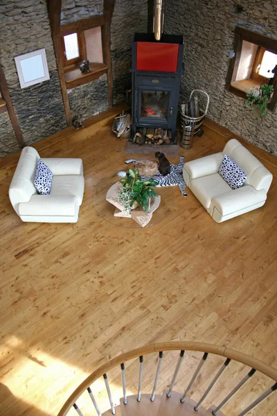 Вид на гостиную с камином и кошкой на ковре — стоковое фото