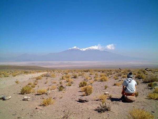 距離、アルティプラーノ、ウユニ、ボリビア、南アメリカをじっと見つめる — ストック写真