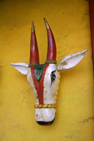 Άγαλμα του αγελάδα μέσα ναό jain, Νότια Ινδία — Φωτογραφία Αρχείου