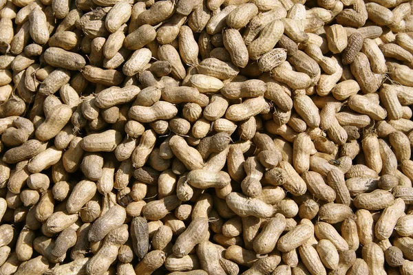 Groundnuts on display at local market — Stock Photo, Image