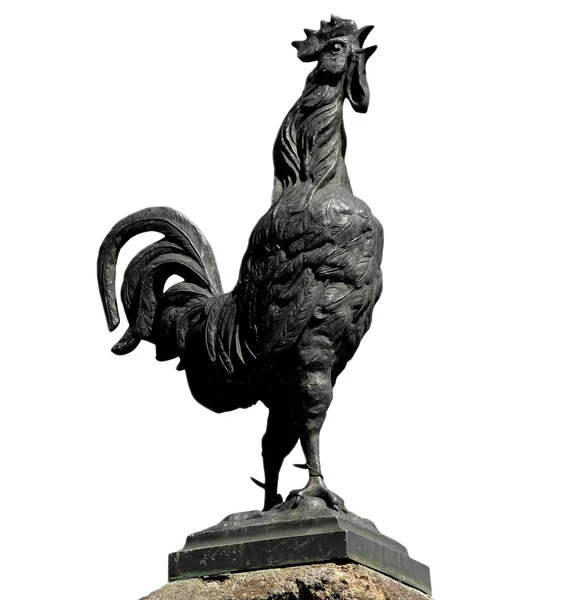 French rooster — Stock Photo, Image
