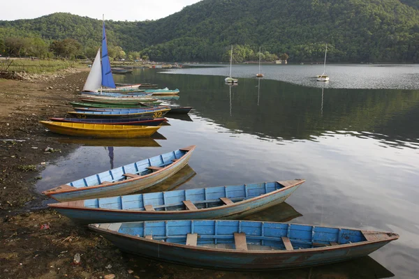 stock image Pokhara boats