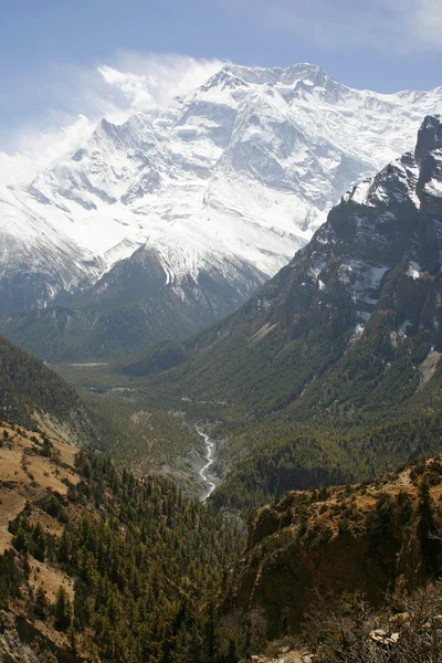 Himalaya vallei — Stockfoto