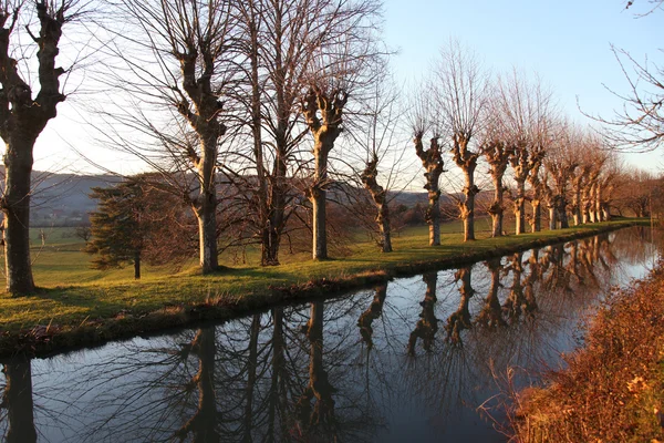 Reflektion av naturen — Stockfoto