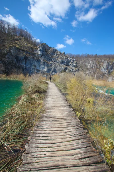 Εθνικό Πάρκο Plitvice — Φωτογραφία Αρχείου