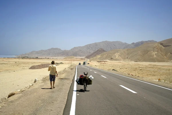 Desert road in the red sea region, sinai, egypt — Stock Photo, Image