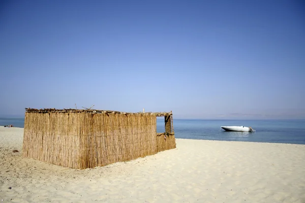 Roseau hutte sur la plage, mer rouge, sinaï, egypte — Photo