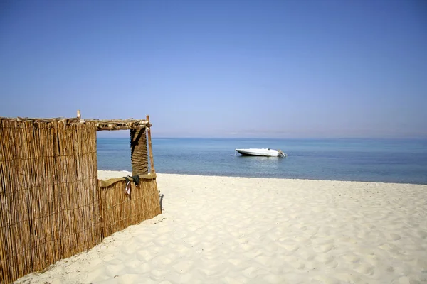 Roseau hutte sur la plage, mer rouge, sinaï, egypte — Photo