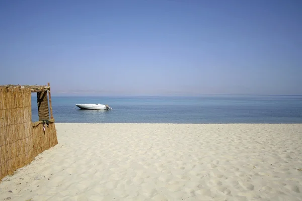Cabaña de caña en la playa, el mar rojo, el Sinaí, Egipto — Foto de Stock
