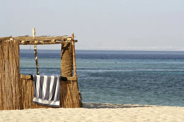 Chata trzcinowa na plaży, Morze Czerwone, Synaj, Egipt — Zdjęcie stockowe
